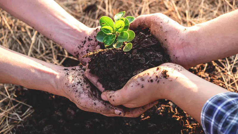 Save Animals & Trees